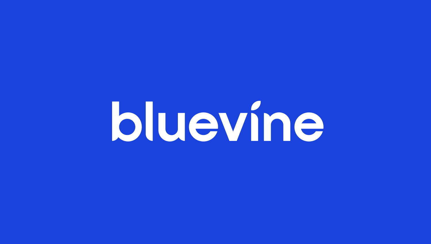 Bluevine Review A Complete Overview in 2023