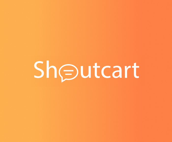 Shoutcart Review in 2023: A Complete Overview